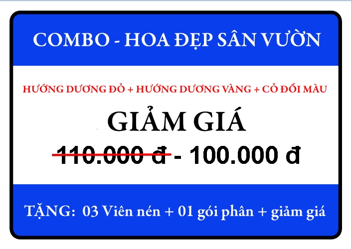 Bộ Sản Phẩm Hoa Đẹp Sân Vườn