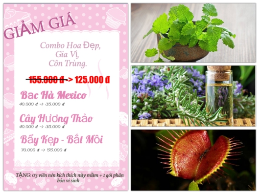 Bộ Sản Phẩm Gia Vị Và Côn Trùng