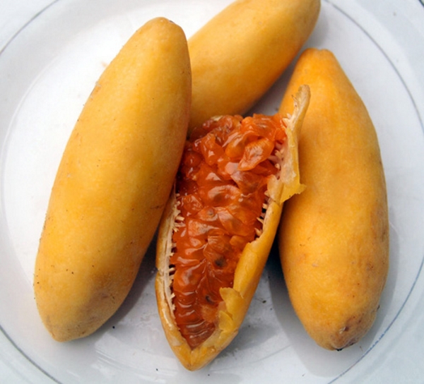 chanh leo chuối