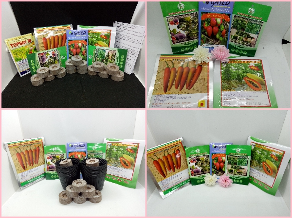 BOX-SEED BOX-SEED