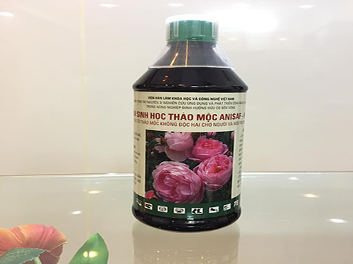 Chế Phẩm Sinh Học Thảo Mộc Anisaf Đặc Trị Các Bệnh Hoa Hồng Giúp Cây Phát Triển Tốt