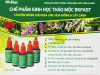 CHẾ PHẨM SINH HỌC THẢO MỘC BKFAST AN TOÀN, SẠCH BỆNH, KÍCH RỄ CHO CÂY TRỒNG
