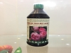 Chế Phẩm Sinh Học Thảo Mộc Anisaf Đặc Trị Các Bệnh Hoa Hồng Giúp Cây Phát Triển Tốt