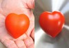 Hạt Giống Cà Chua Trái Tim