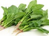 Hạt Giống Cải Bó Xôi