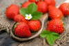 Hạt Giống Dâu Tây Chịu Nhiệt