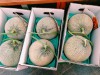 Hạt giống Dưa lưới ngọt