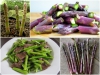 BỘ HẠT GIỐNG MĂNG TÂY XANH F1