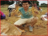 Bộ Hạt Giống Nhân Sâm Hàn Quốc F1