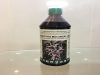 Chế Phẩm Sinh Học Thảo Mộc Anisaf Đặc Trị Các Bệnh Hoa Phong Lan Giúp Cây Phát Triển Tốt