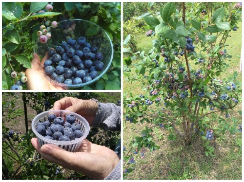 Vì Sao Nhiều Chị Em Lại 