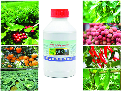 Thuốc Trừ Sâu Sinh Học 100% Thảo Mộc - An Toàn Hiệu Quả Chuyên Trị Nấm, Thối Nhũn, Virus