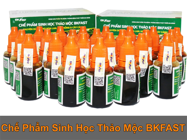 CHẾ PHẨM SINH HỌC THẢO MỘC BKFAST AN TOÀN, SẠCH BỆNH, KÍCH RỄ CHO CÂY TRỒNG
